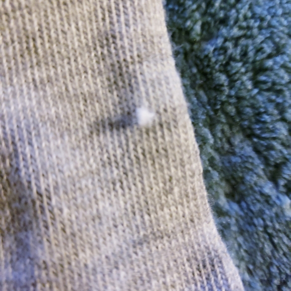 ❗️SOLD❗️Jurassic Park 'We Are Being Hunted' Socks. NWT. - Picture 3 of 6